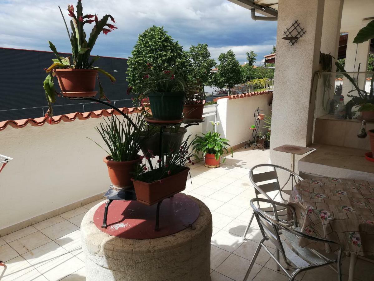 Guest house Ljubica